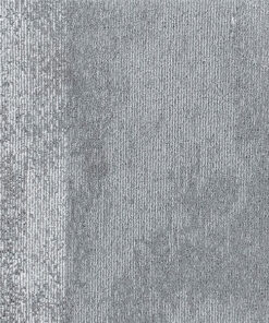 CS-01