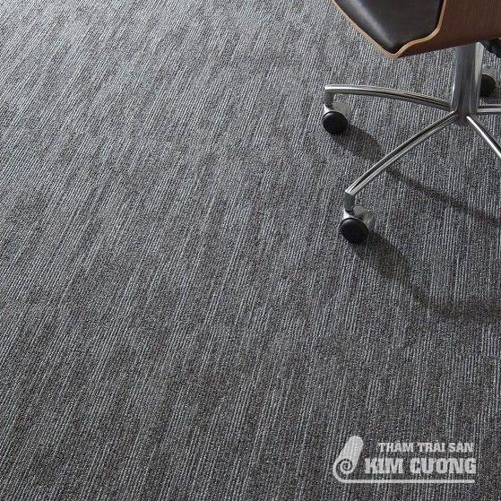 SUMINOE PX 5000